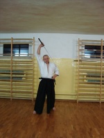 Sensei Robert tumaczy uke nagashi