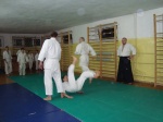 pad do irimi nage - Sebastian duy
